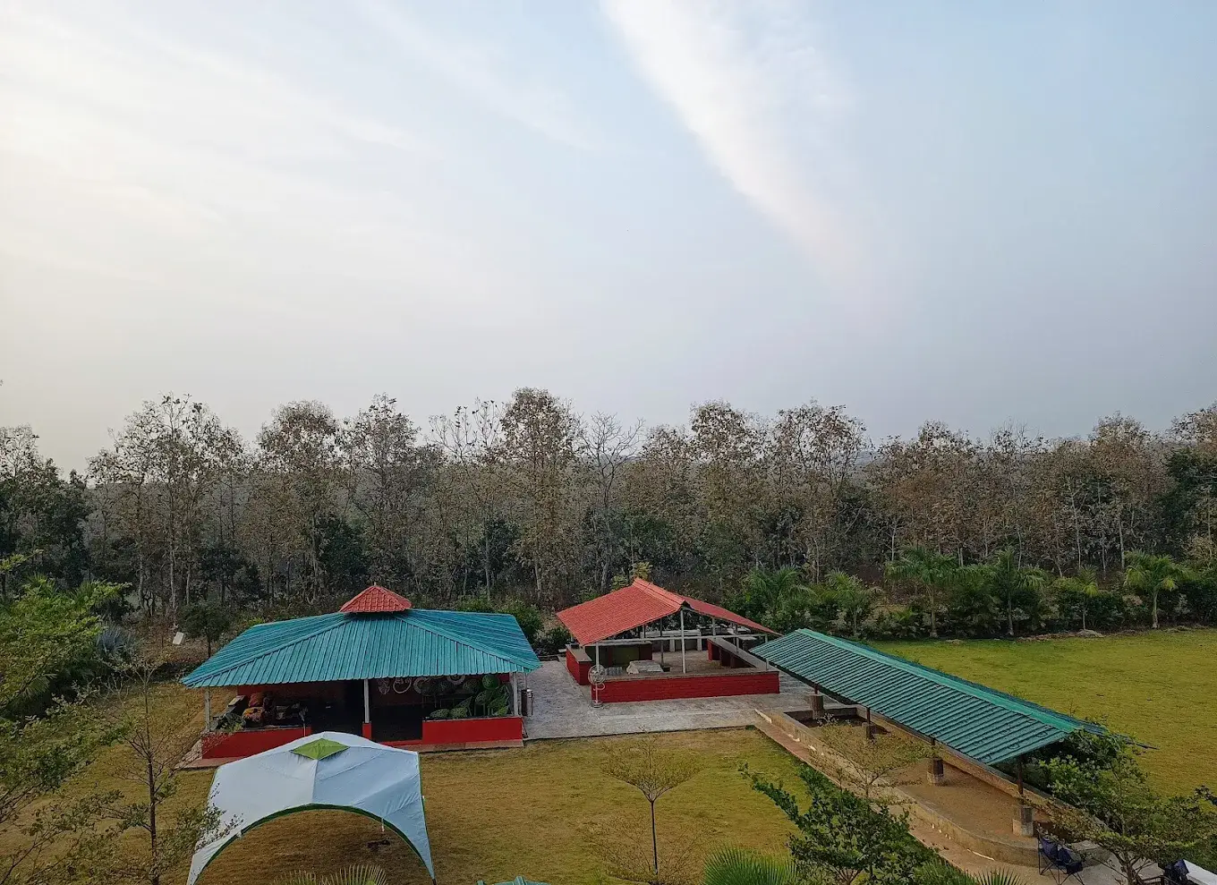 Jungle safari in Nagpur