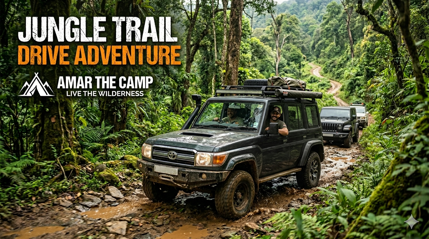 Jungle Trail Drive Adventure